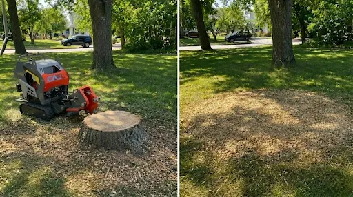 Avant et après l'enlèvement professionnel d'une souche d'arbre en Montérégie.